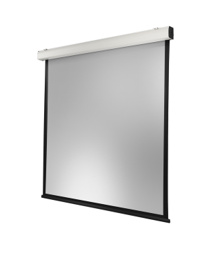 CELEXON Expert XL Motorleinwand, Bildhöhe: 350 cm