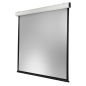 CELEXON Expert XL Motorleinwand, Bildhöhe: 350 cm