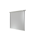 CELEXON Professional Rolloleinwand weiß