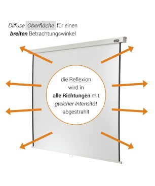 CELEXON Professional Rolloleinwand weiß