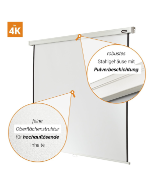 CELEXON Professional Rolloleinwand weiß