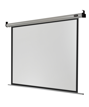 CELEXON HomeCinema Motorleinwand, Bilddiagonale (cm): 267 cm
