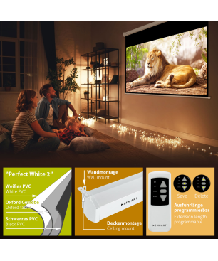 ESMART Professional MIMOTO 442 x 249 cm (200") 16:9 Motor-Leinwand