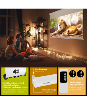 ESMART Professional MIMOTO Akustik-Motor 295 x 165 cm (133") 16:9 Motor-Leinwand
