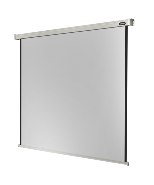 CELEXON Professional Motorleinwand, Bildbreite: 215 cm