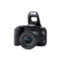 CANON EOS 250D Kit Spiegelreflexkamera, 24,1 Megapixel, 18-55 mm Objektiv (IS, STM, EF-S), Touchscreen Display CANON EOS 250D Kit Spiegelreflexkamera, 24,1 Megapixel, 18-55 mm Objektiv (IS, STM, EF-S), Touchscreen Display