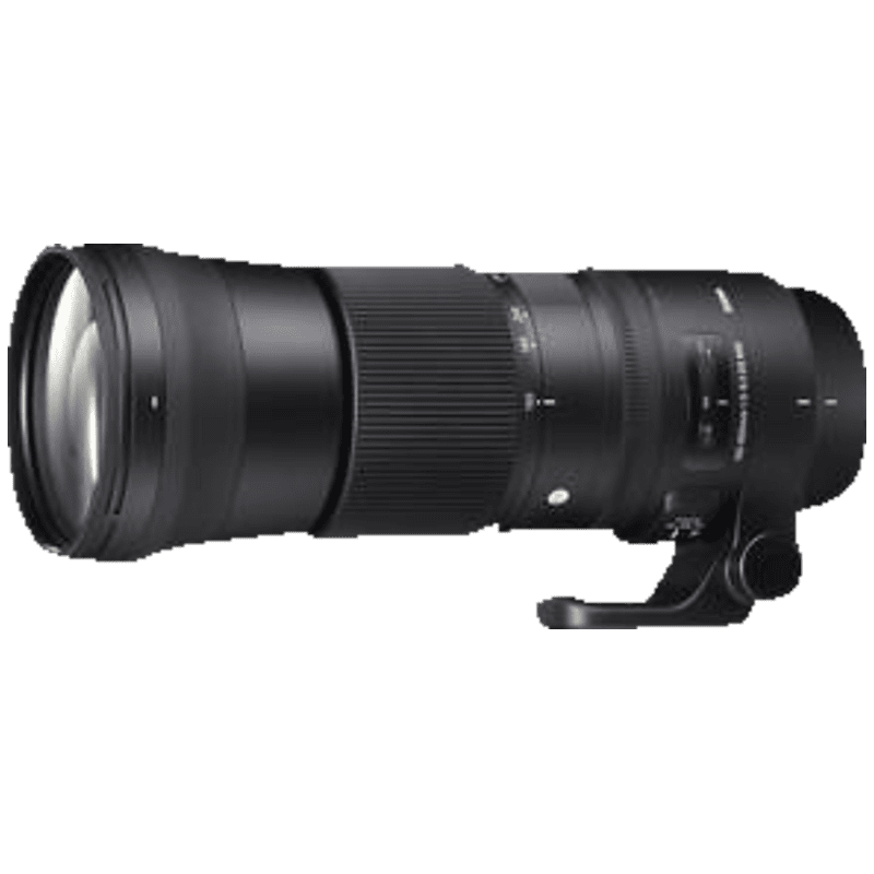 SIGMA ZB 954 Contemporary + TC 1401 150 mm - 600 mm f/5-6.3 DG, HSM, OS, IF (Objektiv für Canon EF-Mount, Schwarz)