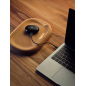 BEATS Studio Buds + True Wireless, In-ear Kopfhörer Bluetooth Black/Gold