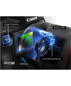 CANON RF 24 mm - 105 mm f/4 RF, USM, IS (Objektiv für Canon R-Mount, Schwarz)