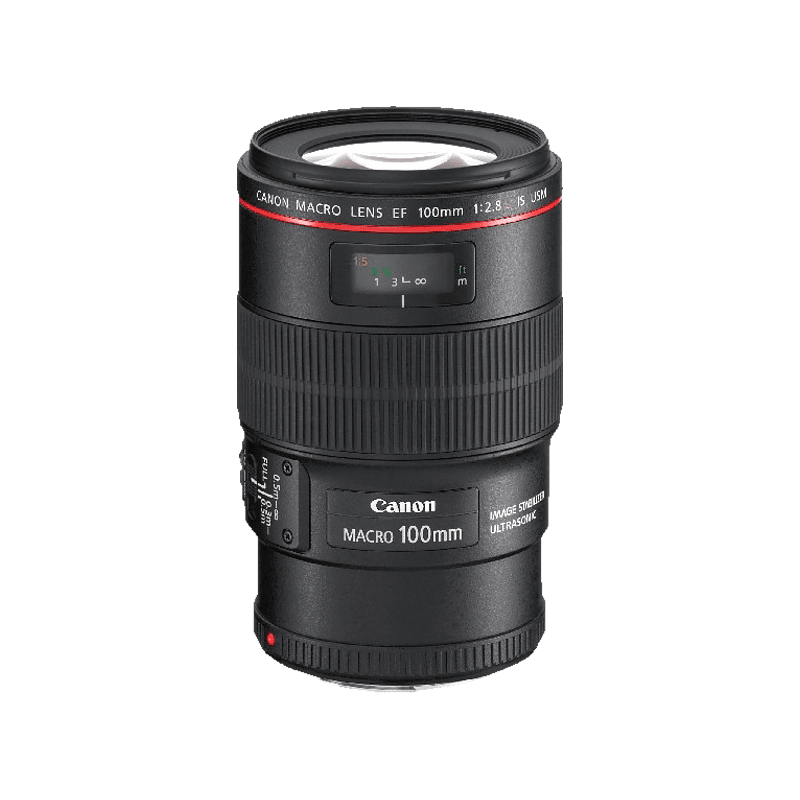 CANON EF 100mm F2.8L Macro IS USM - 100 mm f/2.8 EF, IS, USM, L-Reihe (Objektiv für Canon EF-Mount, Schwarz) CANON EF 100mm F2.8L Macro IS USM - 100 mm f/2.8 EF, IS, USM, L-Reihe (Objektiv für Canon EF-Mount, Schwarz)