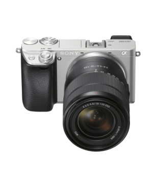 SONY SEL18135 18 mm - 135 mm f/3.5-5.6 OSS, ED, Circulare Blende (Objektiv für Sony E-Mount, Schwarz)
