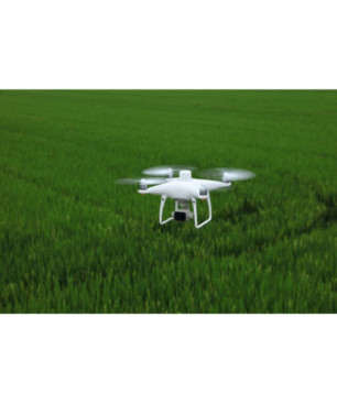 DJI P4 Multispectral + D-RTK 2 High Precision GNSS Mobile Station Combo