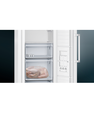 SIEMENS GS29NVWEP Gefrierschrank (E, 200 Liter, 1610 mm hoch)