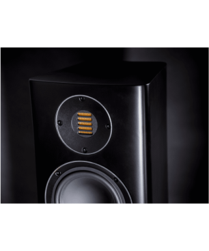 ELAC Carina FS 247 HiFi Lautsprecher (Hochtöner: Nach JET-Prinzip gefalteter Air-Motion-Transformer, Tieftöner: 2 x 150 mm
