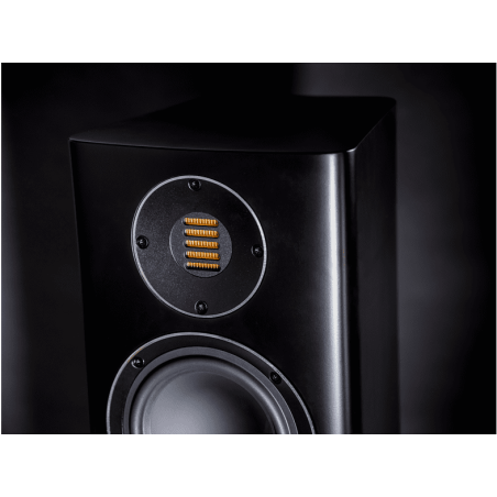 ELAC Carina FS 247 HiFi Lautsprecher (Hochtöner: Nach JET-Prinzip gefalteter Air-Motion-Transformer, Tieftöner: 2 x 150 mm