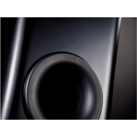 ELAC Carina FS 247 HiFi Lautsprecher (Hochtöner: Nach JET-Prinzip gefalteter Air-Motion-Transformer, Tieftöner: 2 x 150 mm
