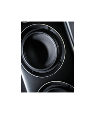 ELAC Carina FS 247 HiFi Lautsprecher (Hochtöner: Nach JET-Prinzip gefalteter Air-Motion-Transformer, Tieftöner: 2 x 150 mm