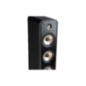 POLK AUDIO SIGS60EBK 1 Stück Standlautsprecher, Schwarz POLK AUDIO SIGS60EBK 1 Stück Standlautsprecher, Schwarz