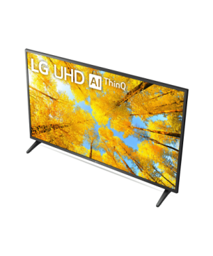 LG 65UQ91009LA UHD TV (Flat, 65 Zoll / 164 cm, UHD 4K, SMART TV, webOS 22 mit LG ThinQ)