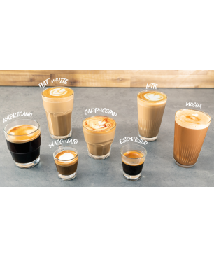 GASTROBACK 42619 Design Espresso Advanced Barista Espressomaschine Edelstahl