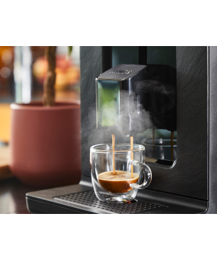 KRUPS EA897B Evidence ECOdesign Kaffeevollautomat Schwarz mit Schiefer-Optik